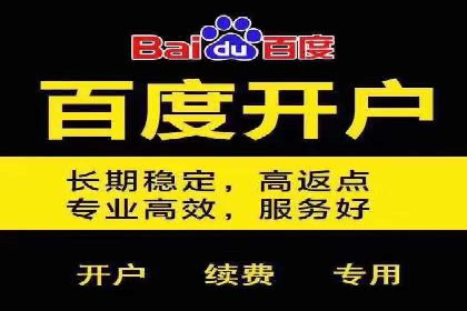 成功SEM托管案例分享：品牌增长之道